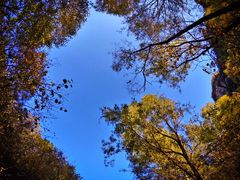 -辛玛王国游乐园