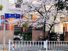 -高东镇樱花园