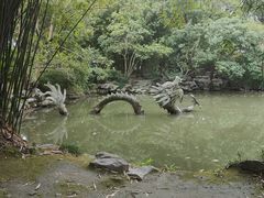 -汇龙潭