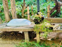 -广州长隆野生动物世界