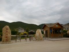 -华荣哲绿豆饼(泰安店)
