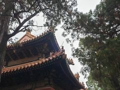 -孔府
