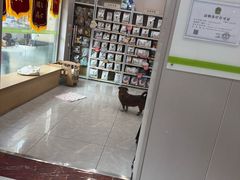 -瑞鹏宠物医院·超声·骨科·奇麟分院(蜀都万达店)
