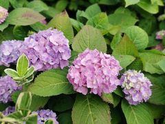 -苏州河梦清园环保主题公园