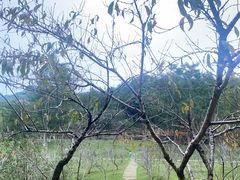 -神光山国家森林公园