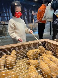 -酷嗒动物文化乐园(cutezoo西溪乐天城店)