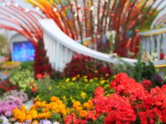 -海心沙亚运公园