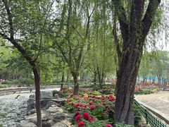 -太阳宫公园