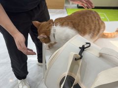 -瑞鹏宠物医院·普外科·影像科·皮肤科(城市山谷分院)