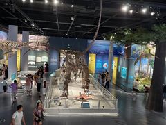 -国家自然博物馆