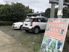 -马陆小张葡萄园农家乐