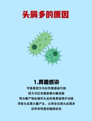 -Bollins波林丝•专研护发中心