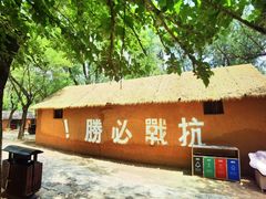 -滕州微山湖红荷湿地景区