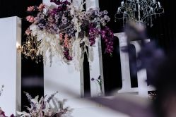 -明典婚礼策划·婚车租赁·婚纱摄影
