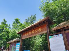-西青郊野公园