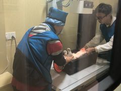 -瑞派天使宠物医院·神经外科·骨科·核磁(洛川中路店)