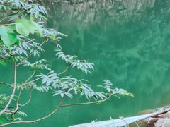 -白云源风景区