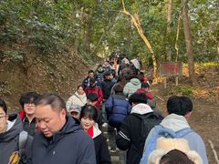 -灵顺寺