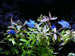 -上海海洋水族馆-停车场