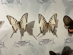 -吉林省自然博物馆