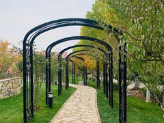 -静之湖湖畔餐厅