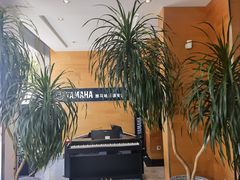 -海音琴行雅马哈钢琴·海伦·施特劳斯(金沙店)