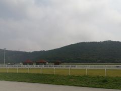 -平湖九龙山旅游度假区