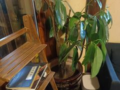 -卧龙堡客栈·中餐厅(古北水镇店)