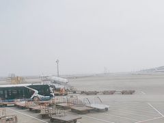 -上海浦东国际机场-T2航站楼