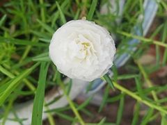 -维乐口腔医院(星海湾分院)