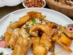 -丰尔粥食·顺德鱼生·干蒸排骨顺德菜(大良分店)