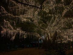 -布里斯班南岸公园