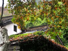-北山街历史文化街区