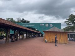 -伊瓜苏国家公园