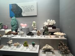 -湖南省地质博物馆