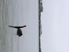 -西山漾湿地公园