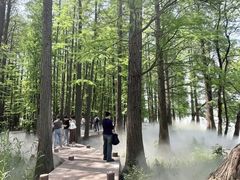 -东湖落雁景区