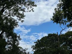 -青岛崂山太清宫