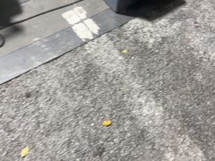 -咕咕站韩国料理(紫金港店)