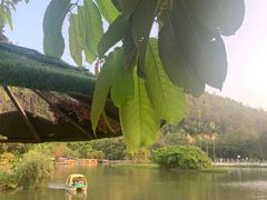 -南沙蒲洲花园