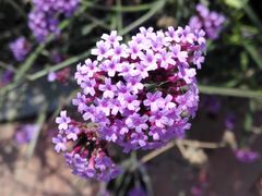 -赛汗塔拉风情园