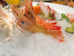 -月龍吟(朝龙汇店)
