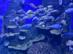 -左海海底世界
