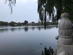 -后海公园