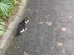 -观澜湖高尔夫球会
