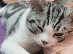 -炼呗运动康复·健身工作室(紫竹桥店)