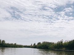 -泗洪洪泽湖湿地景区