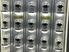 -车公庙(地铁站)