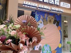 -立德24H动物医院·夜诊·转诊中心·1.5T核磁共振(海珠店)