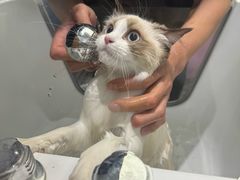-FAELING PETS美天灵宠物(富力广场店)